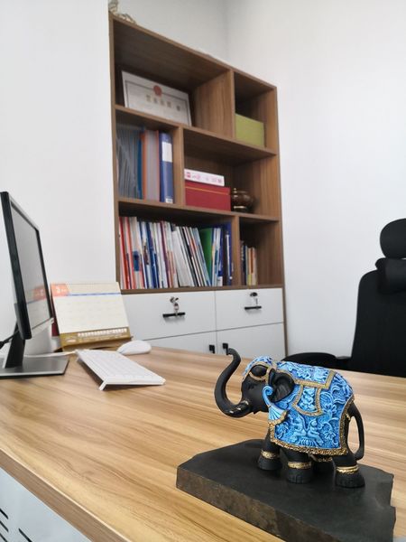 Chiny HEBEI FAITHFUL MECHANICAL AND ELECTRICAL EQUIPMENT CO., LTD. profil firmy
